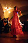 FlamencoDancer.jpg (58664 bytes)