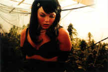 Betty Bud 3