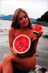 Watermelon Fruit 
