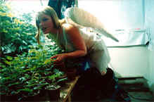 Angel Nursery